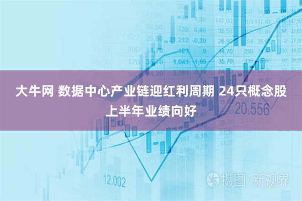 大牛网 数据中心产业链迎红利周期 24只概念股上半年业绩向好
