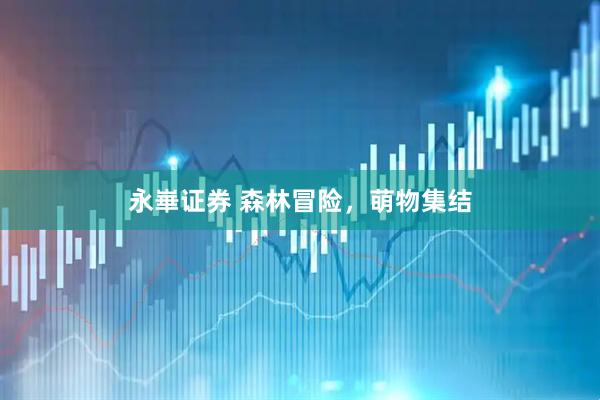 永崋证券 森林冒险，萌物集结